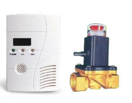 Gas Leakage Detector